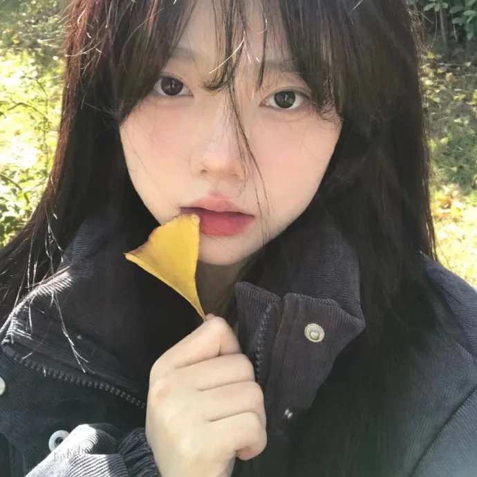 独活女子的推荐 第二季